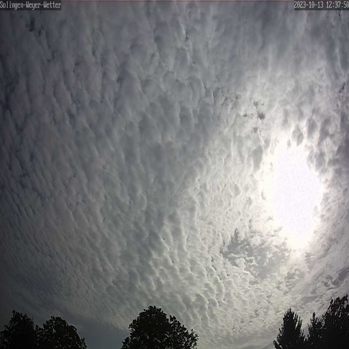 Riesenbeck webcam