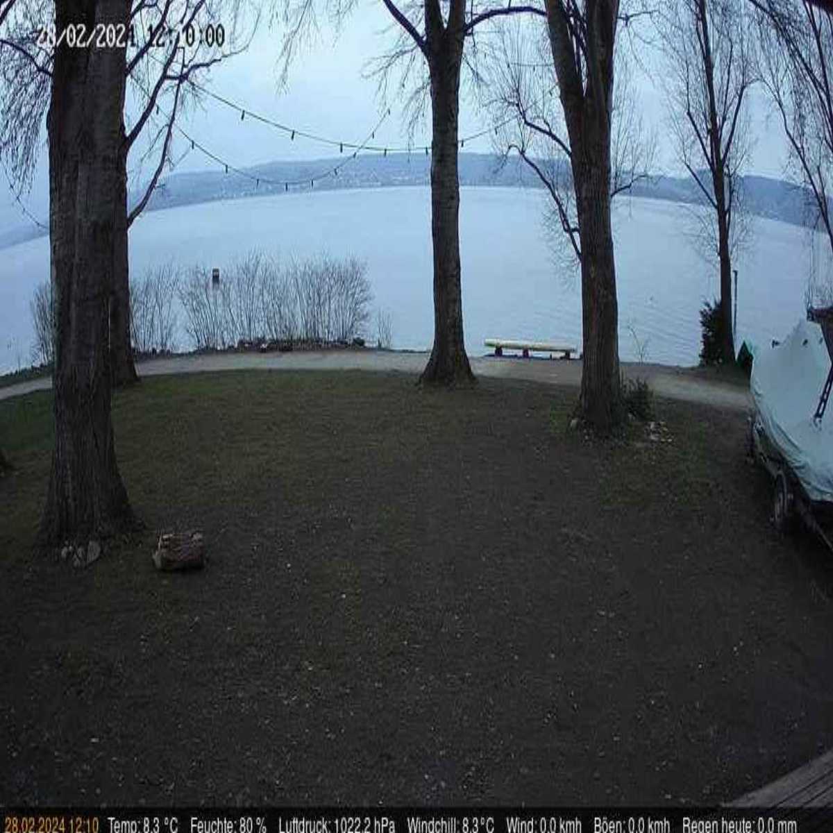 Schallstadt webcam
