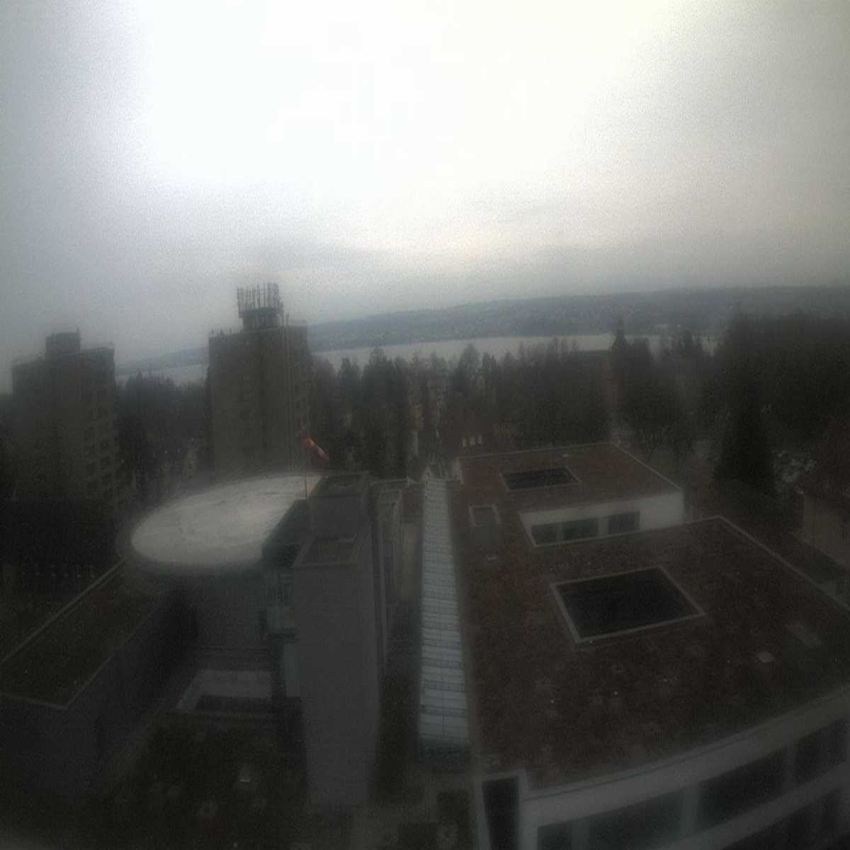 Schallstadt webcam