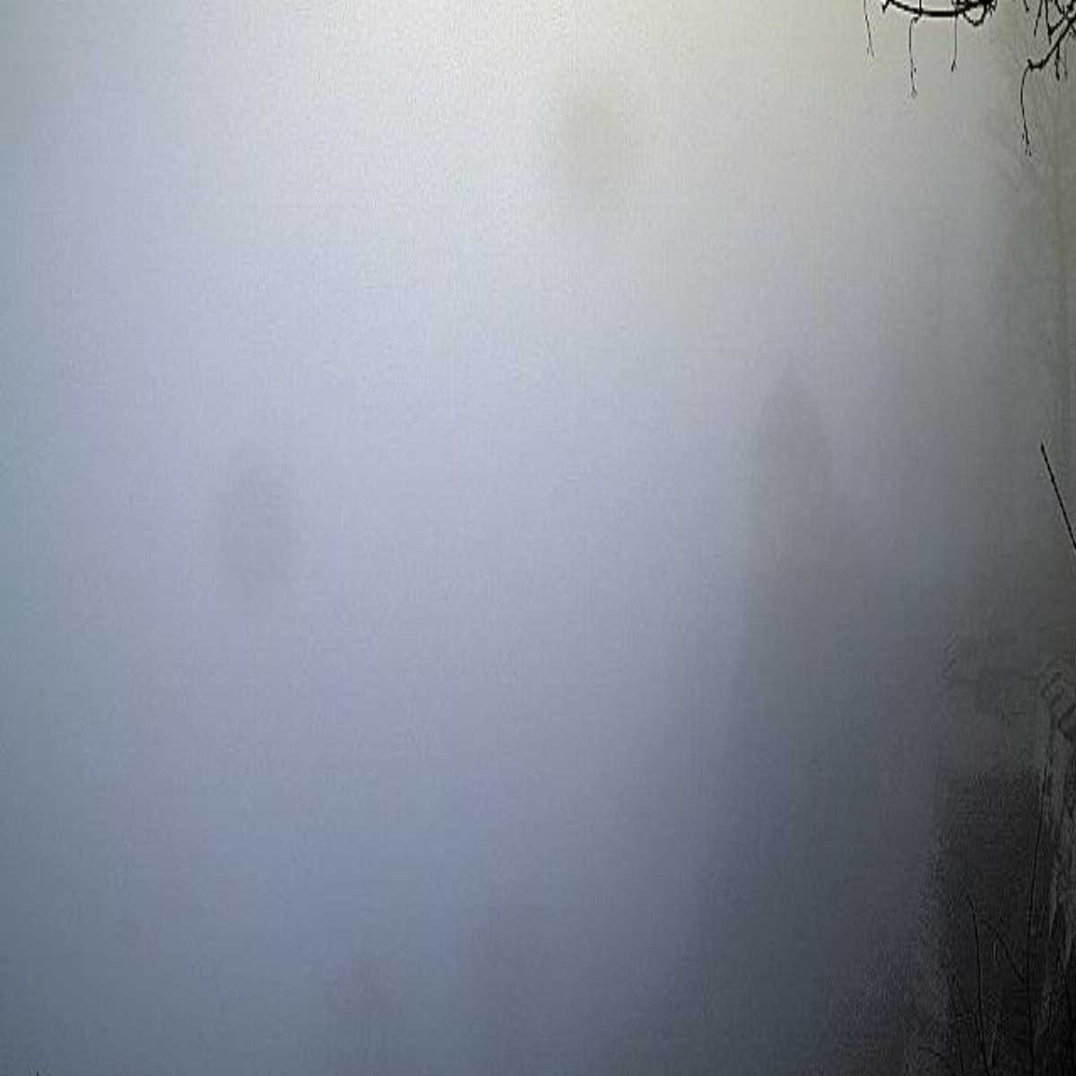 Klingenberg webcam