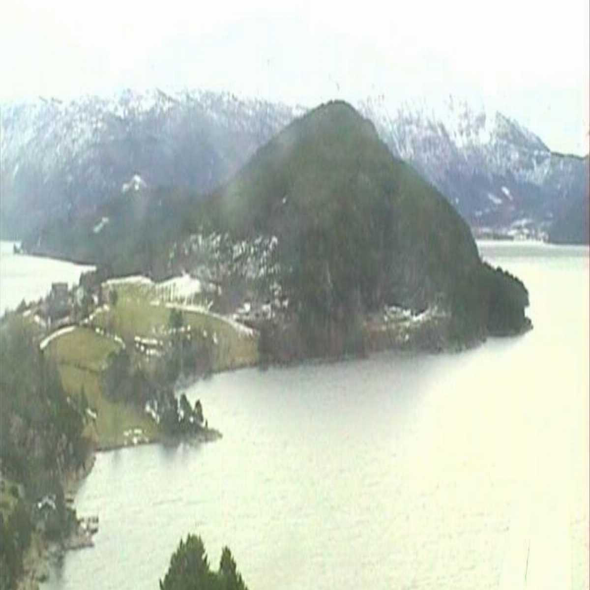 Eidsa webcam