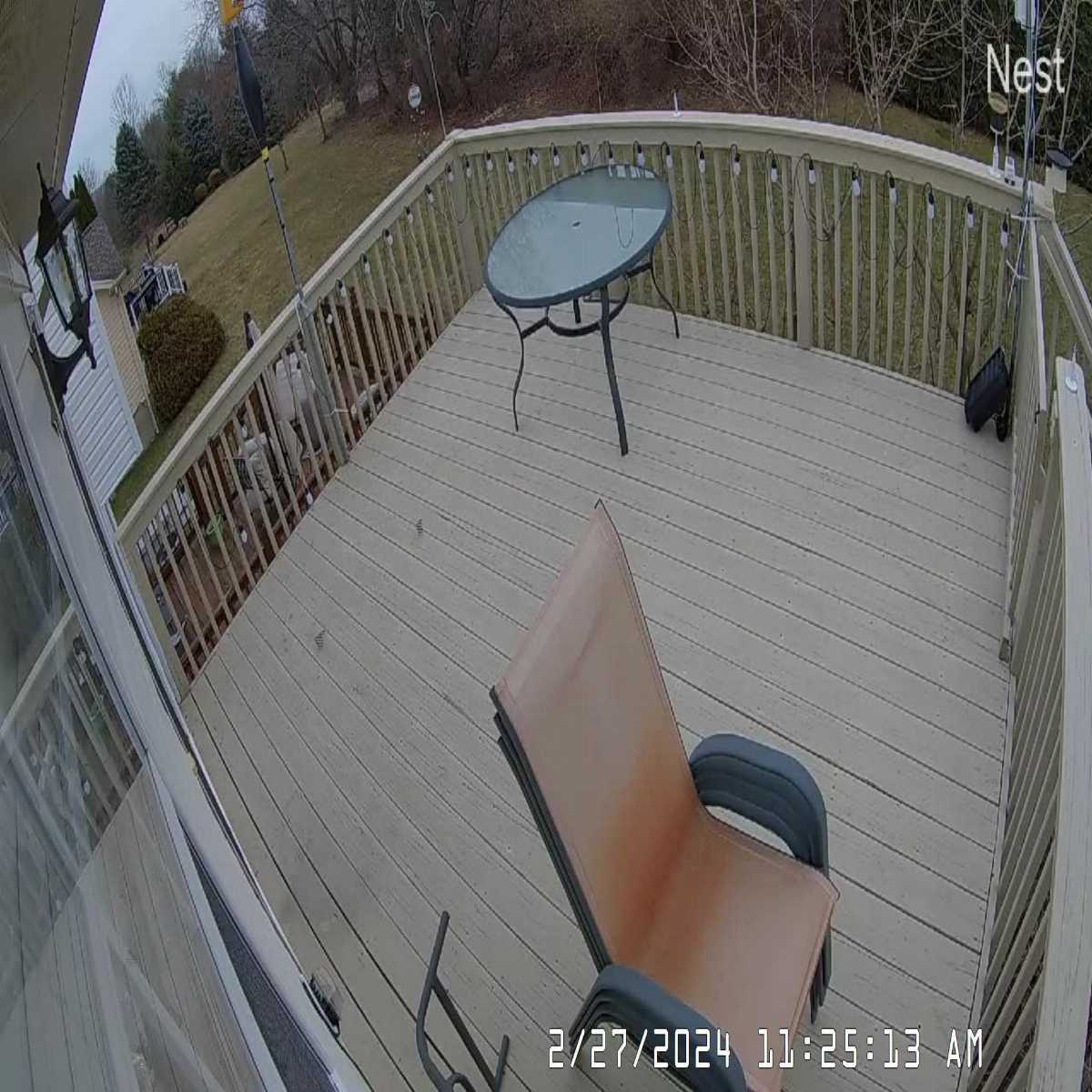 Erie webcam
