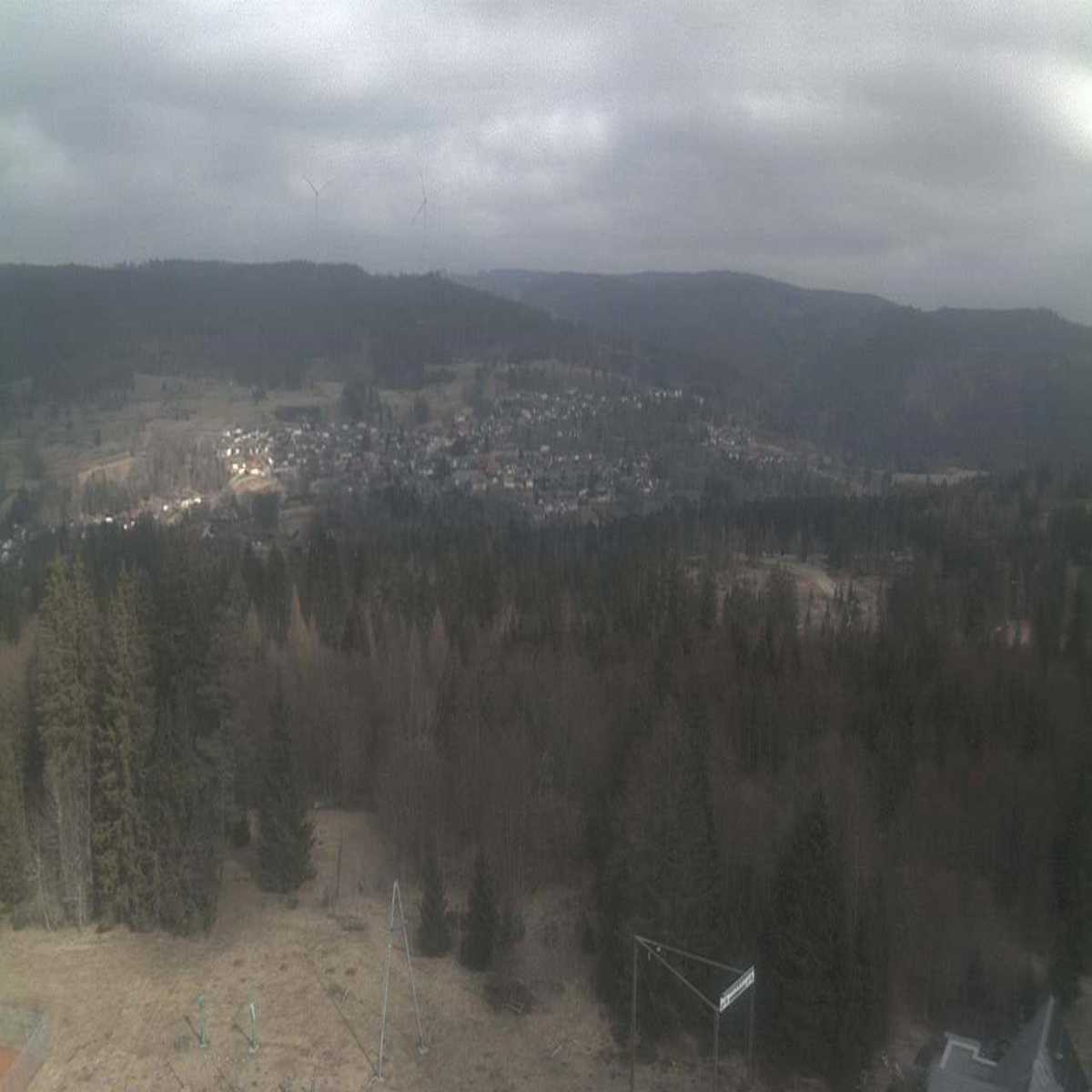 Schallstadt webcam