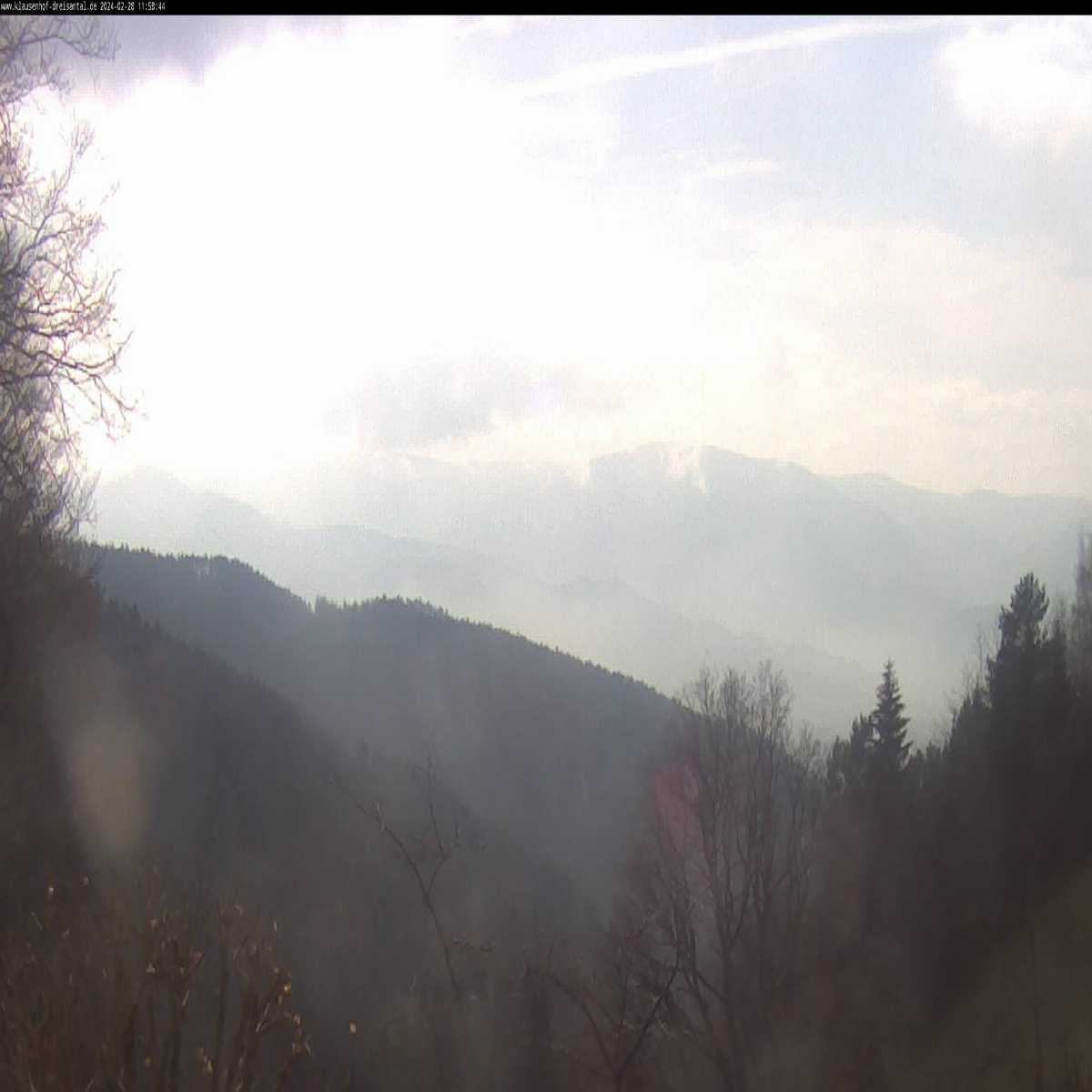 Schallstadt webcam