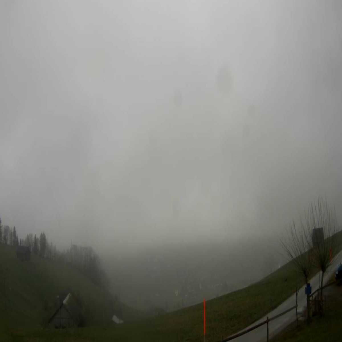 Zachenberg webcam