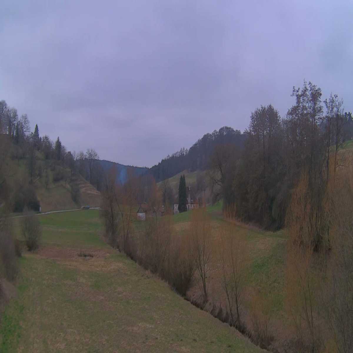 Schallstadt webcam