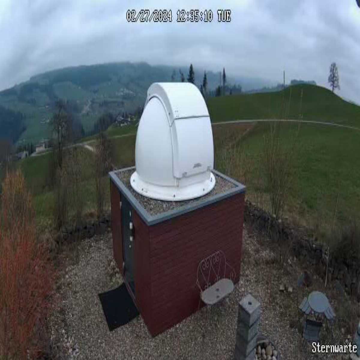 Root webcam