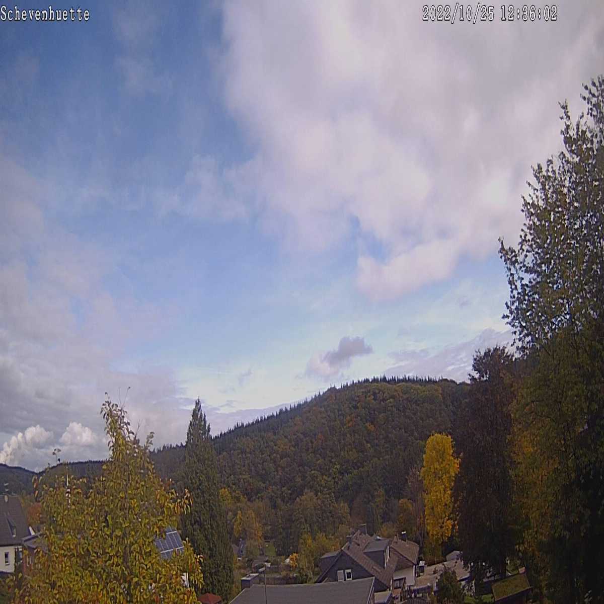 Riesenbeck webcam