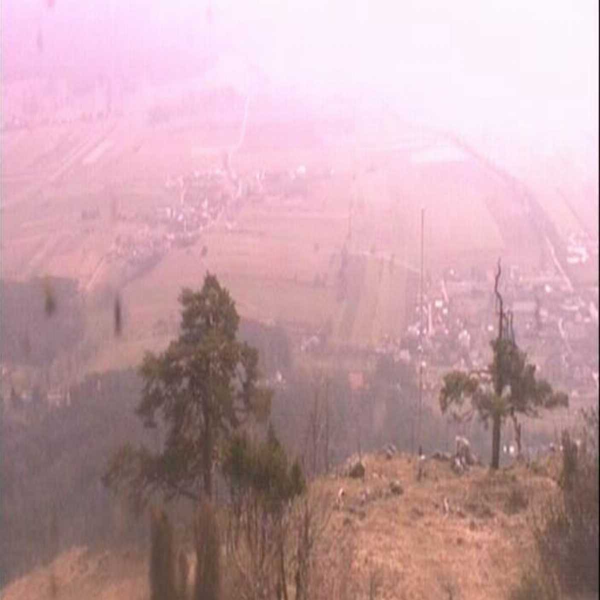 Ertl webcam