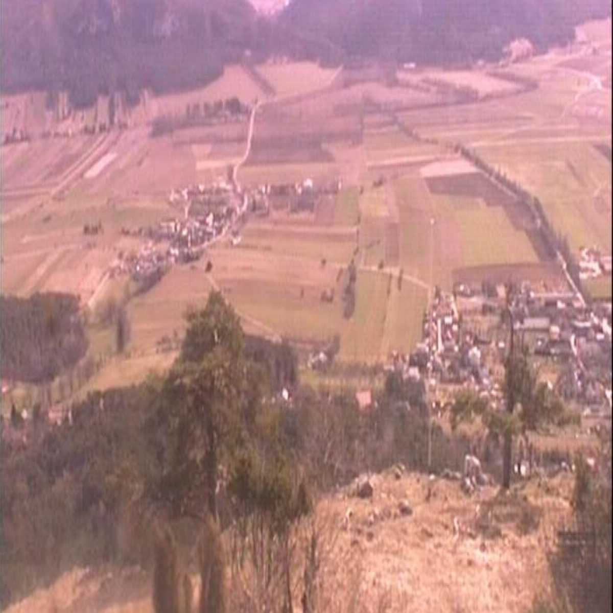 Ertl webcam