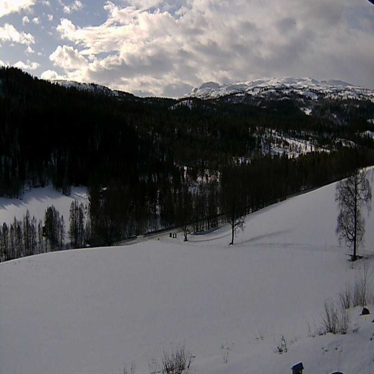 Galaen webcam