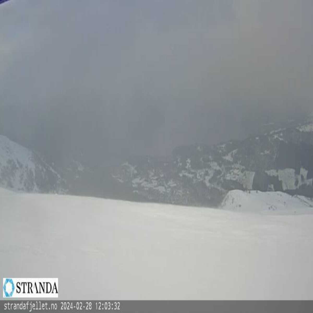 Eidsa webcam