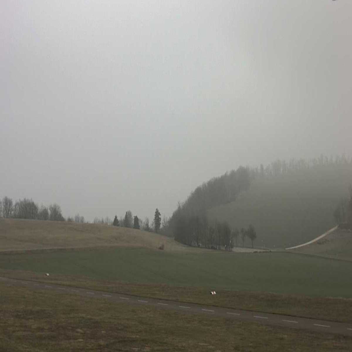Schallstadt webcam