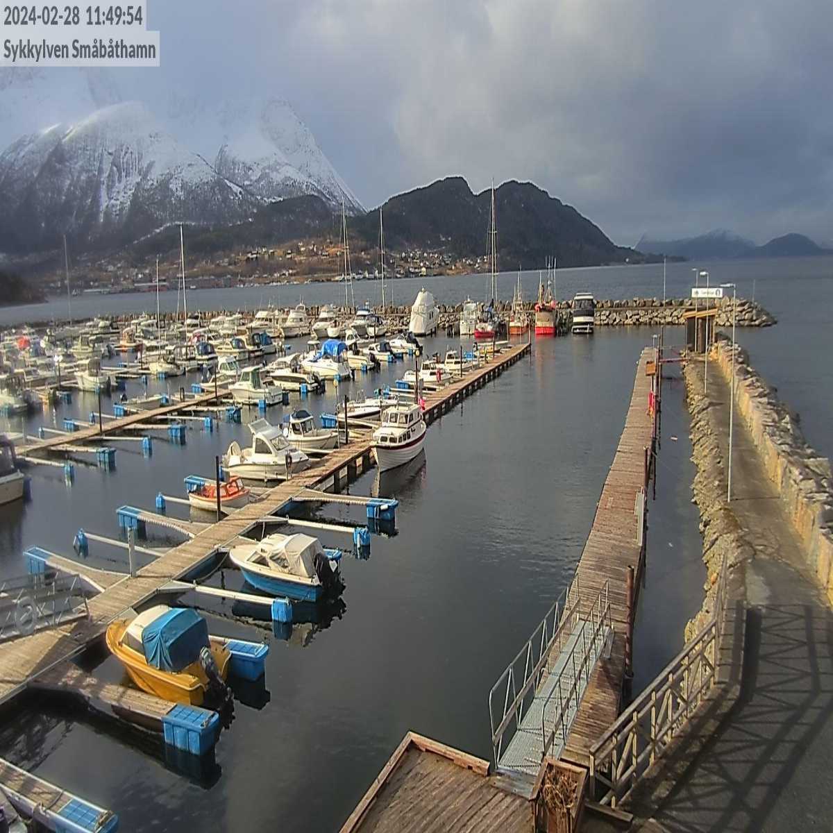 Eidsa webcam