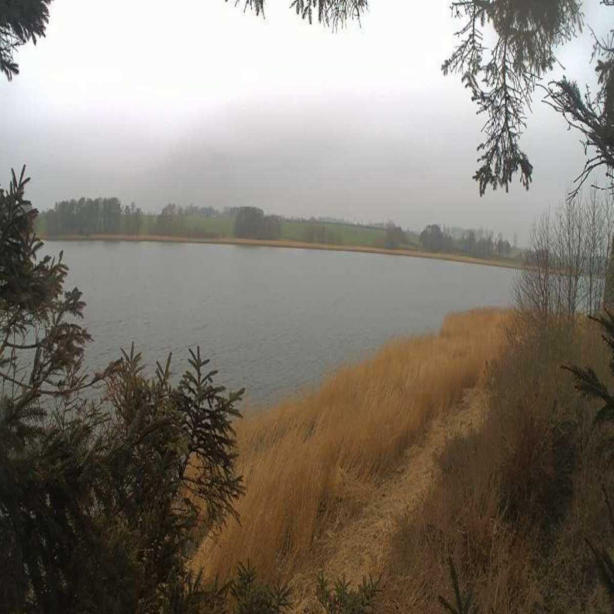 Reinbek webcam