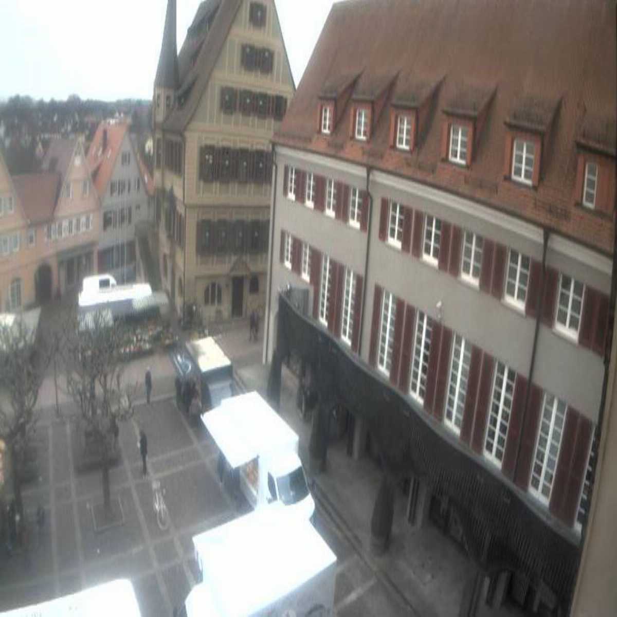 Schallstadt webcam