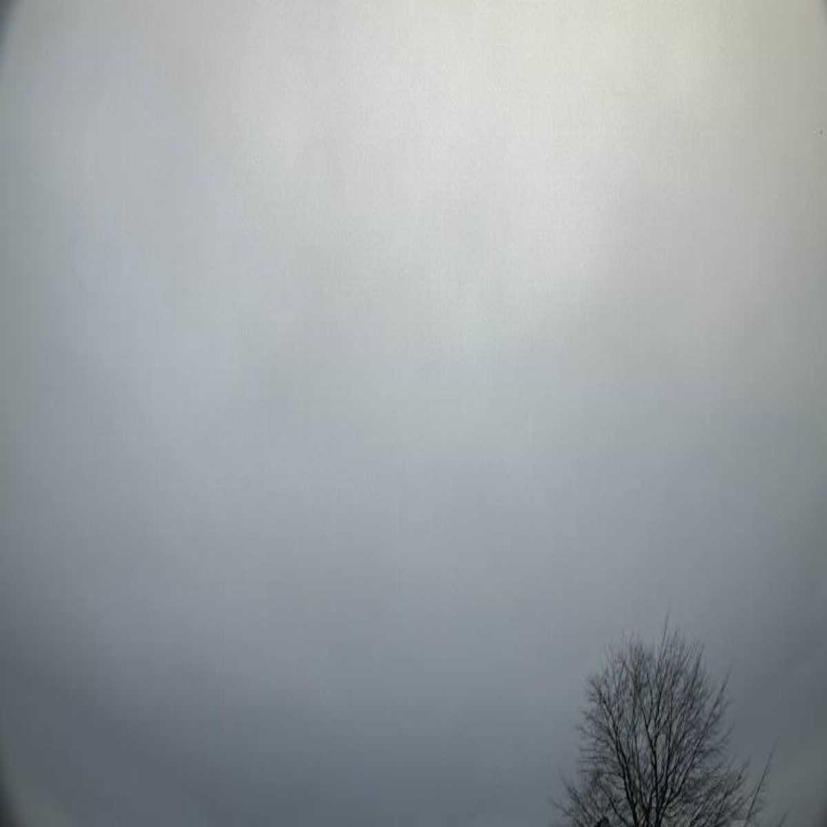 Reinbek webcam