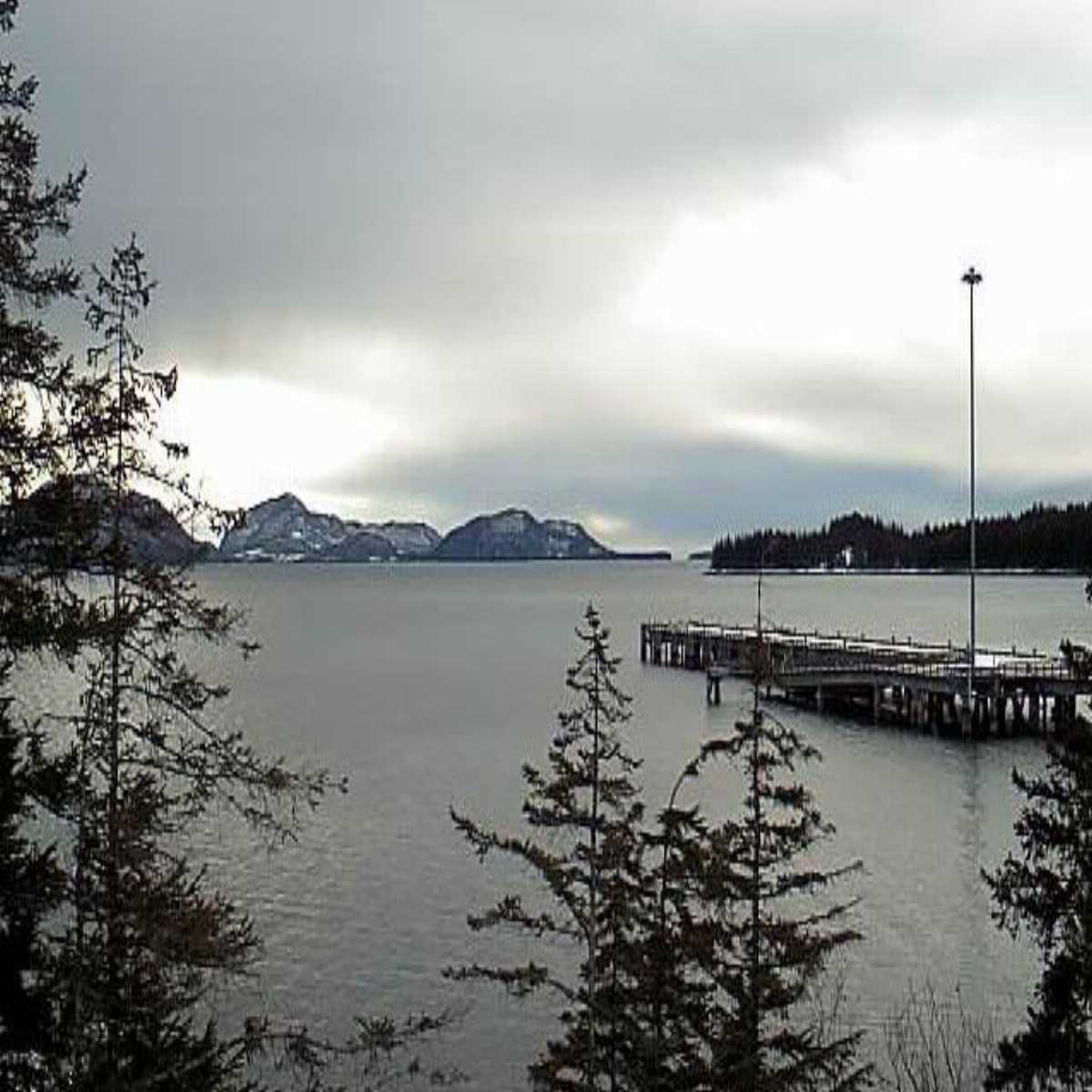 Homer webcam