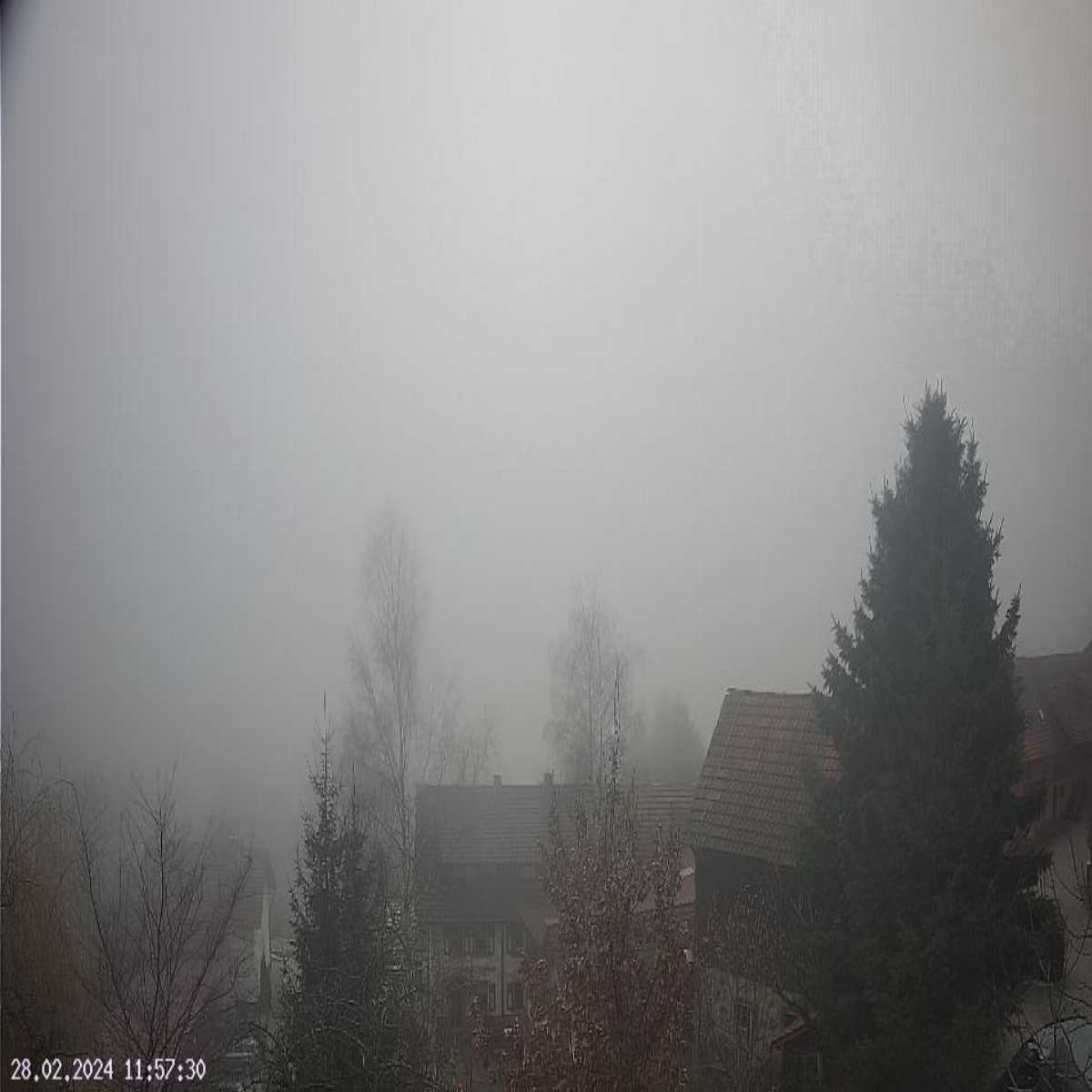 Schallstadt webcam