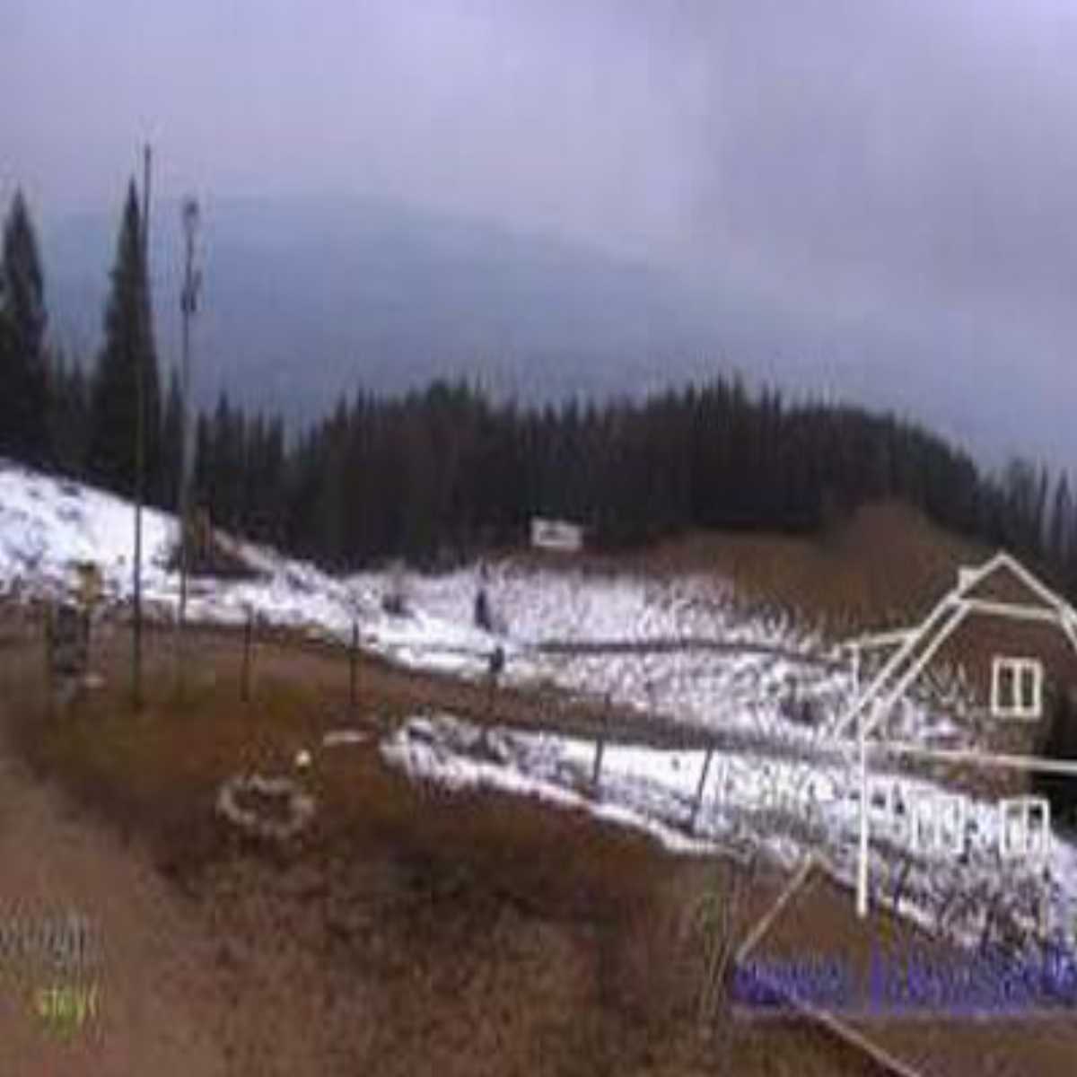Perg webcam