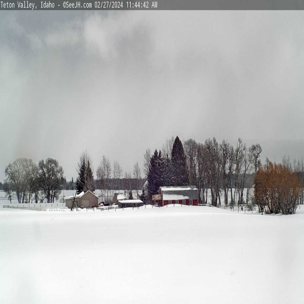 Midvale webcam