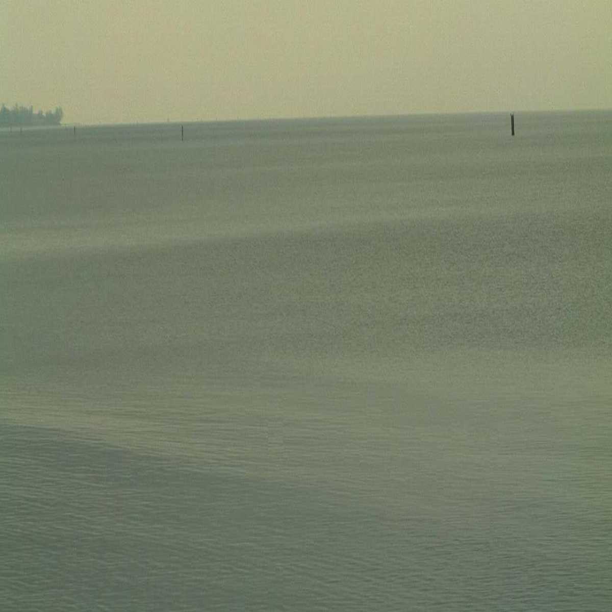 Schallstadt webcam