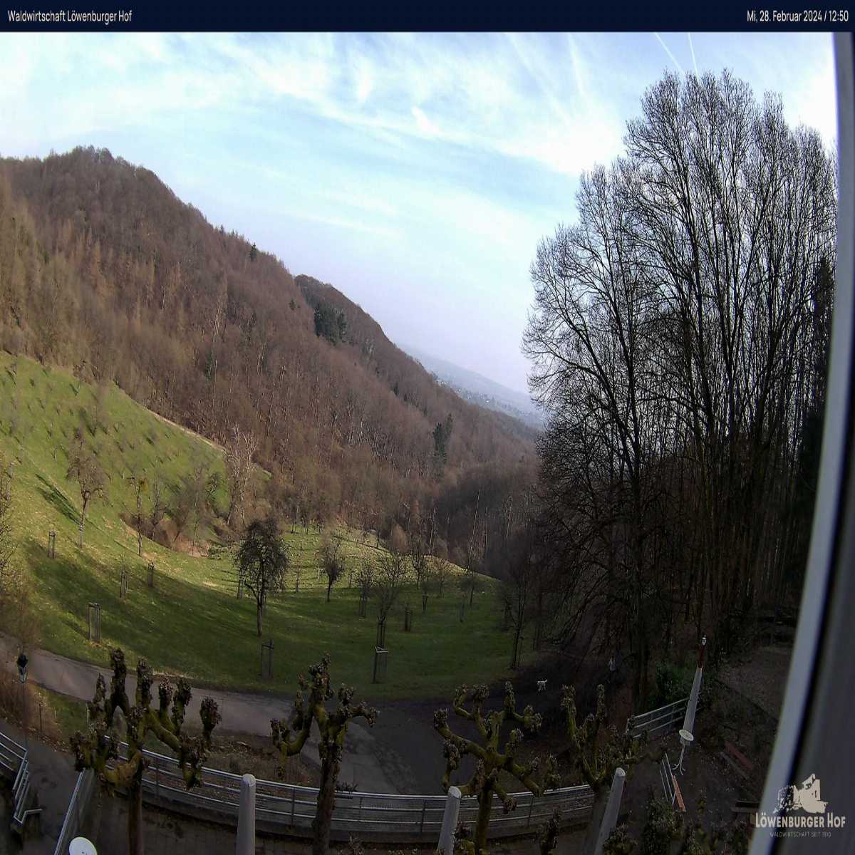 Riesenbeck webcam