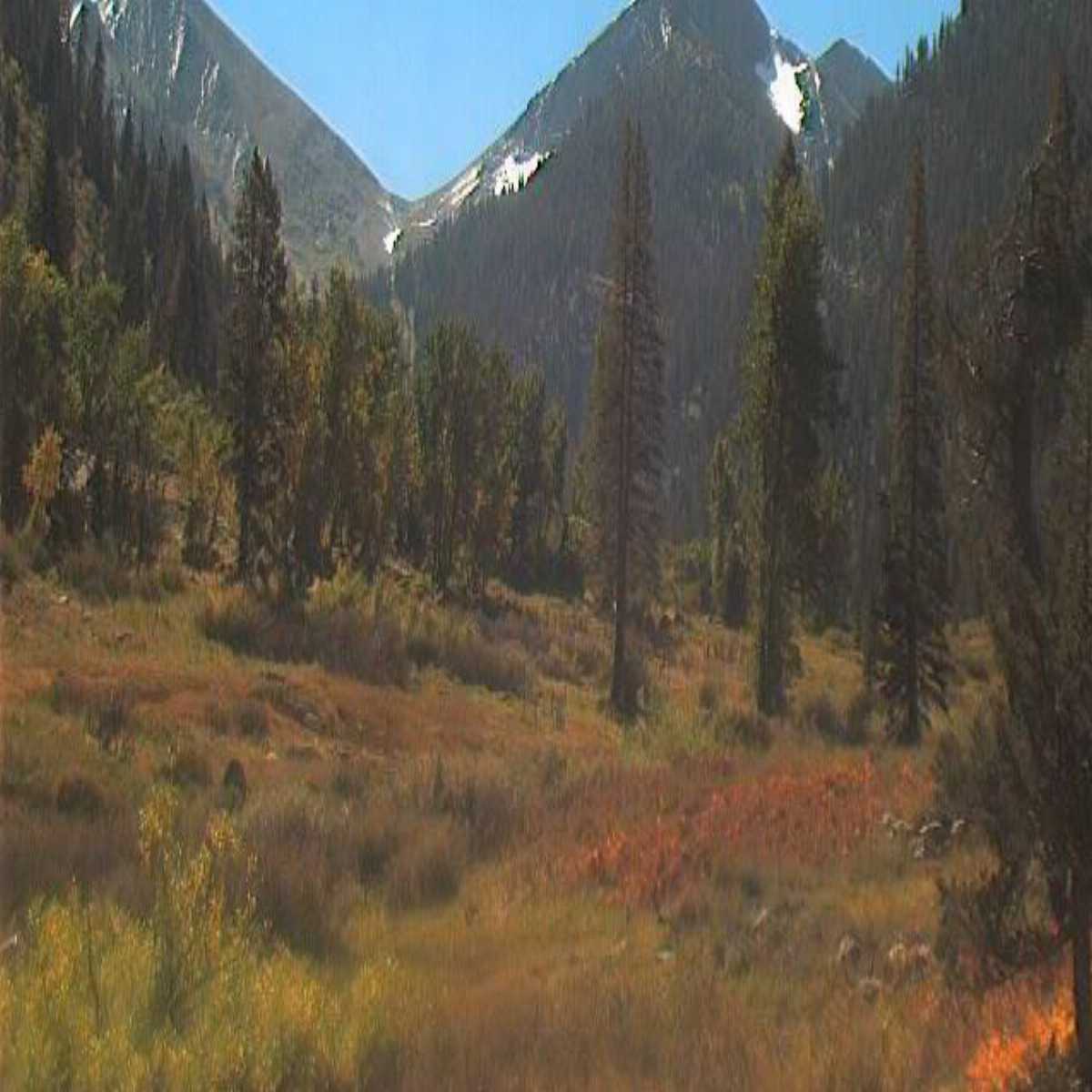 Walnut Creek webcam