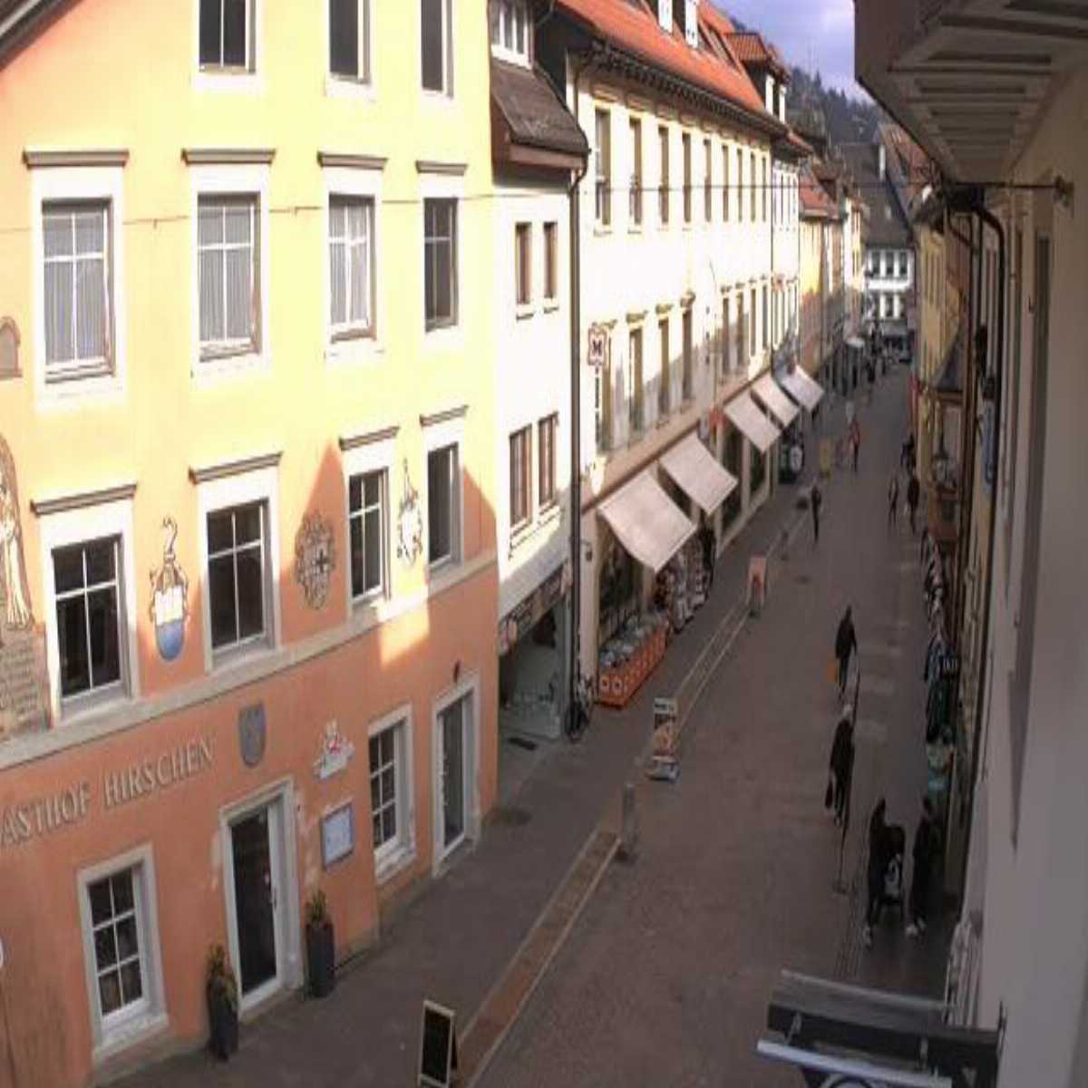 Schallstadt webcam